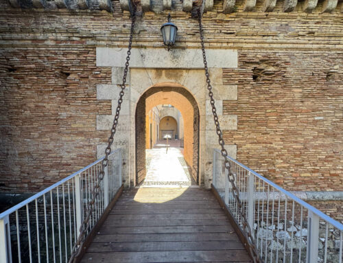 Come gestire un museo o un bene culturale pubblico: modelli, costi e sostenibilità