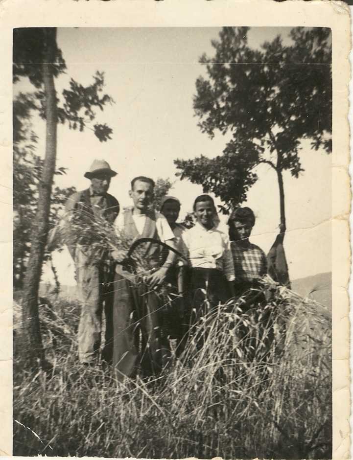Sotto gli alberi
